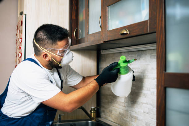 Best Exterminator Services  in Jefferson, MD
