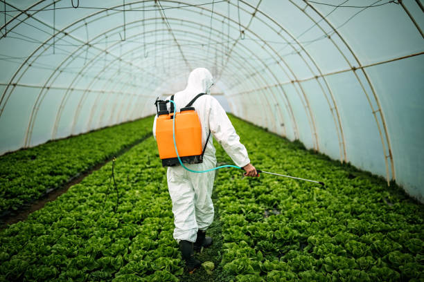 Best Local Pest Control Services  in Jefferson, MD
