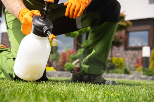 Best Pest Inspection Near Me  in Jefferson, MD