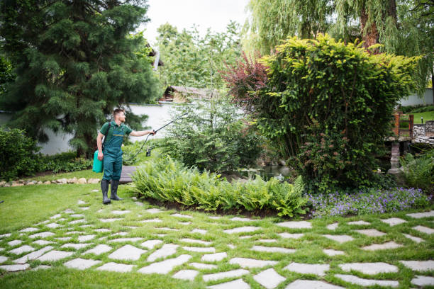 Best Best Pest Control Companies  in Jefferson, MD