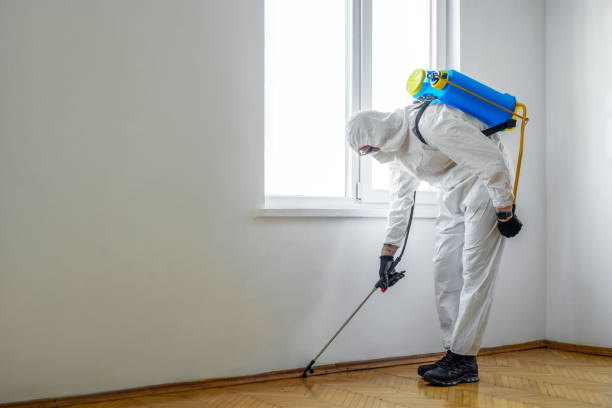 Best Termite Control Services  in Jefferson, MD
