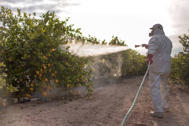 Best Wildlife Control Services  in Jefferson, MD