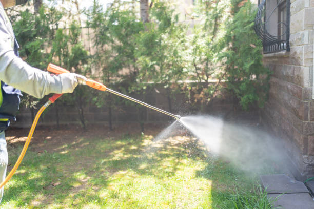 Best Wasp Removal Services  in Jefferson, MD