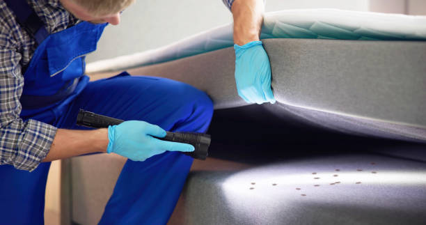 Best Pest Control Near Me  in Jefferson, MD