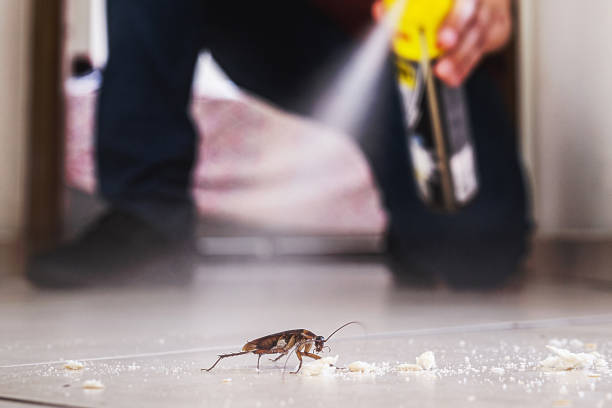Best Pest Removal Services  in Jefferson, MD